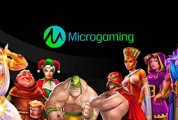 provider microgaming