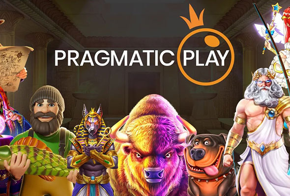 provider pragmatic